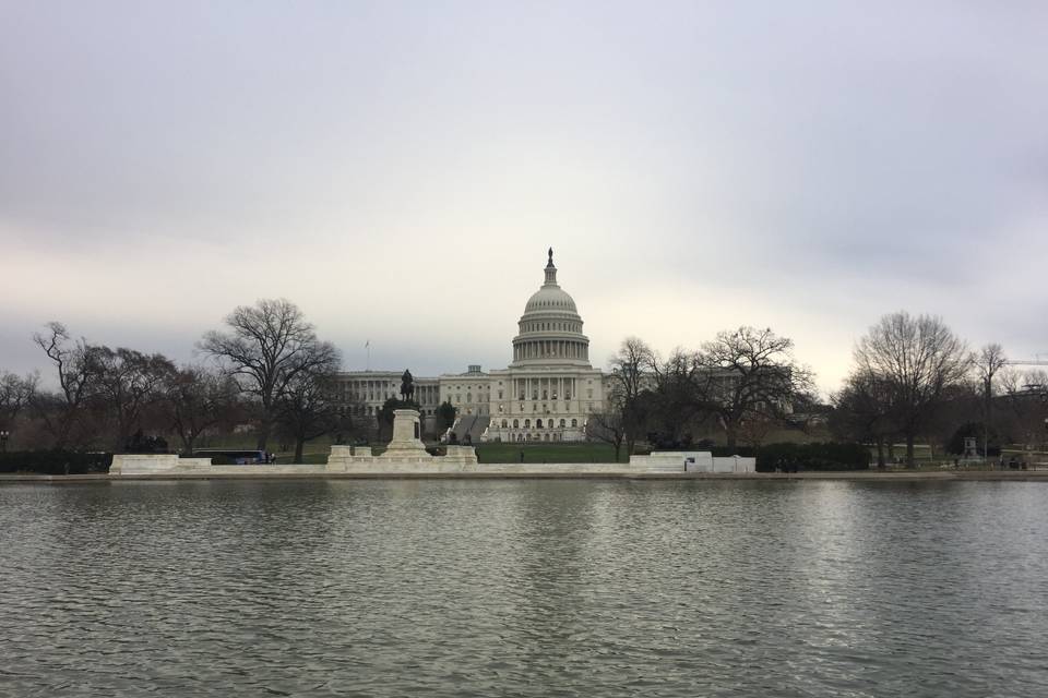 Visit the capital!