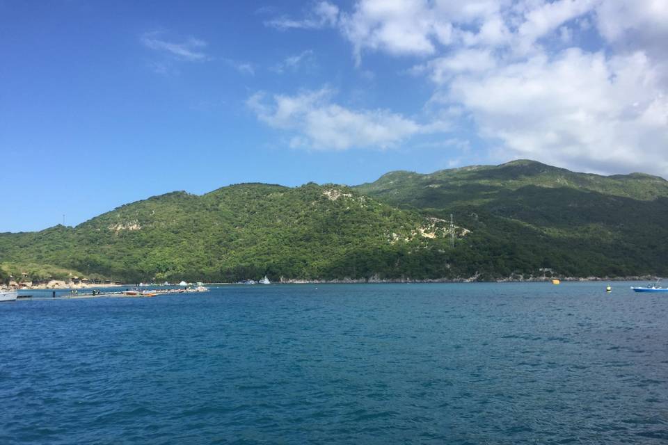 Island Vibes