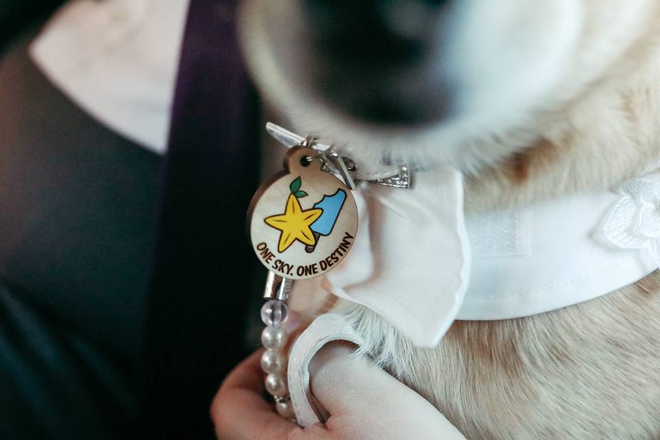 Nerdy Dog Tag