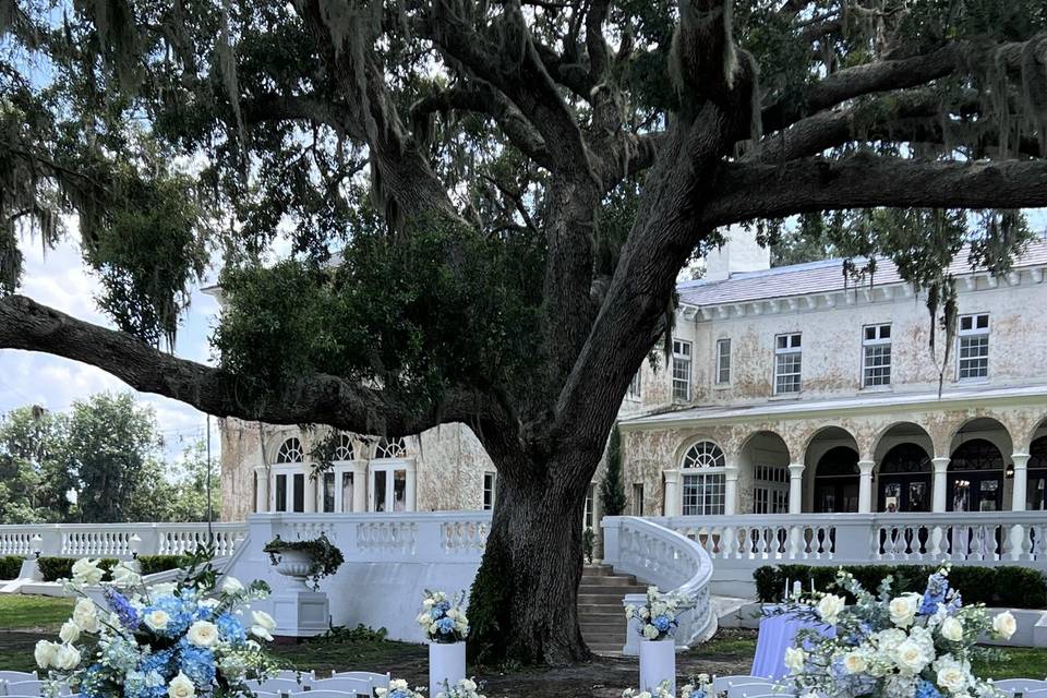 Blossomsandrentals