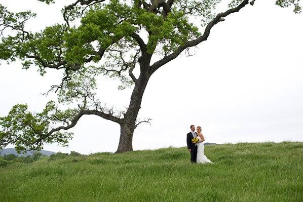 Allison O'Hagan Events
