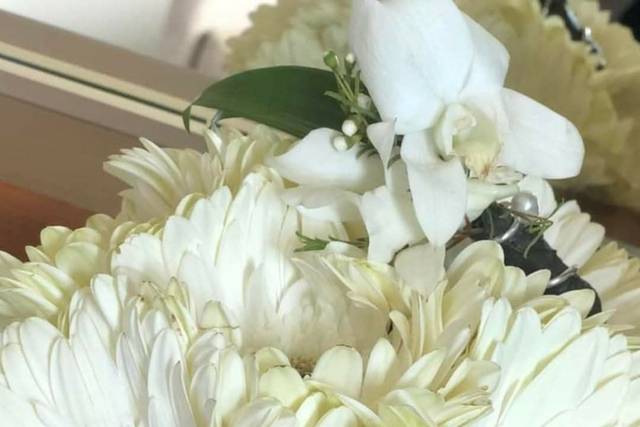 Gerbera Bouquets