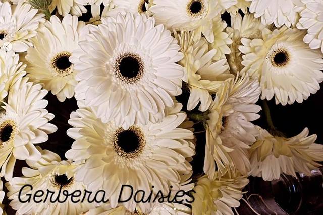 Cathy's Floral & Gifts