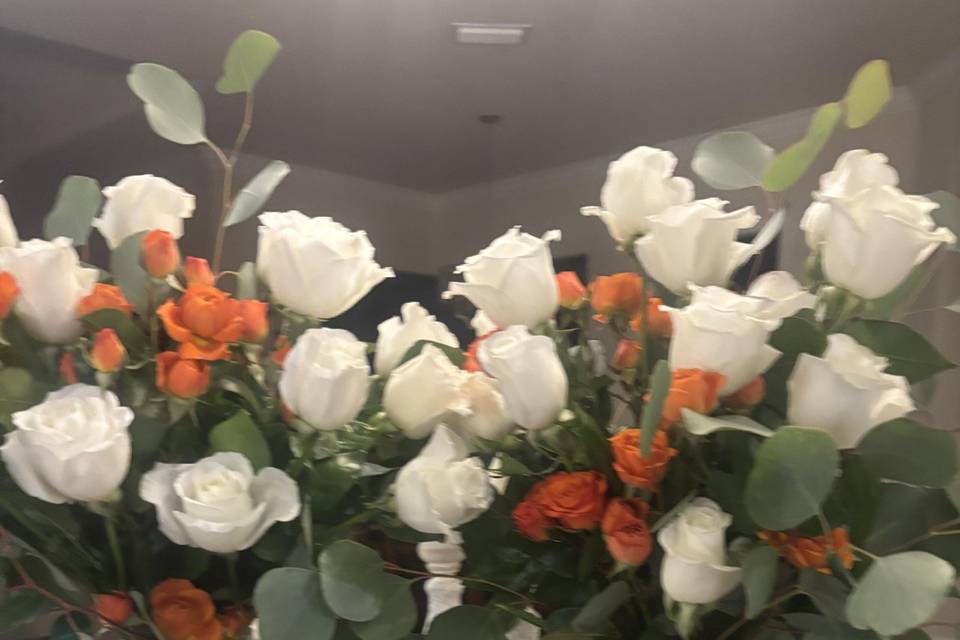 Roses & Cuties