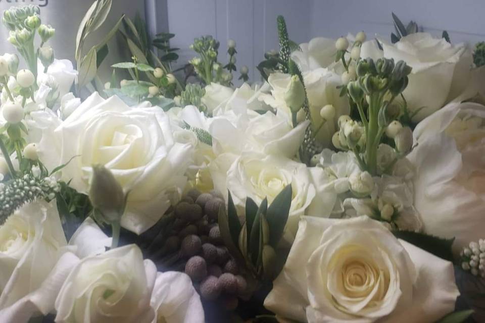 White & Sage