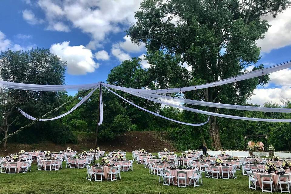 Outdoor Reception