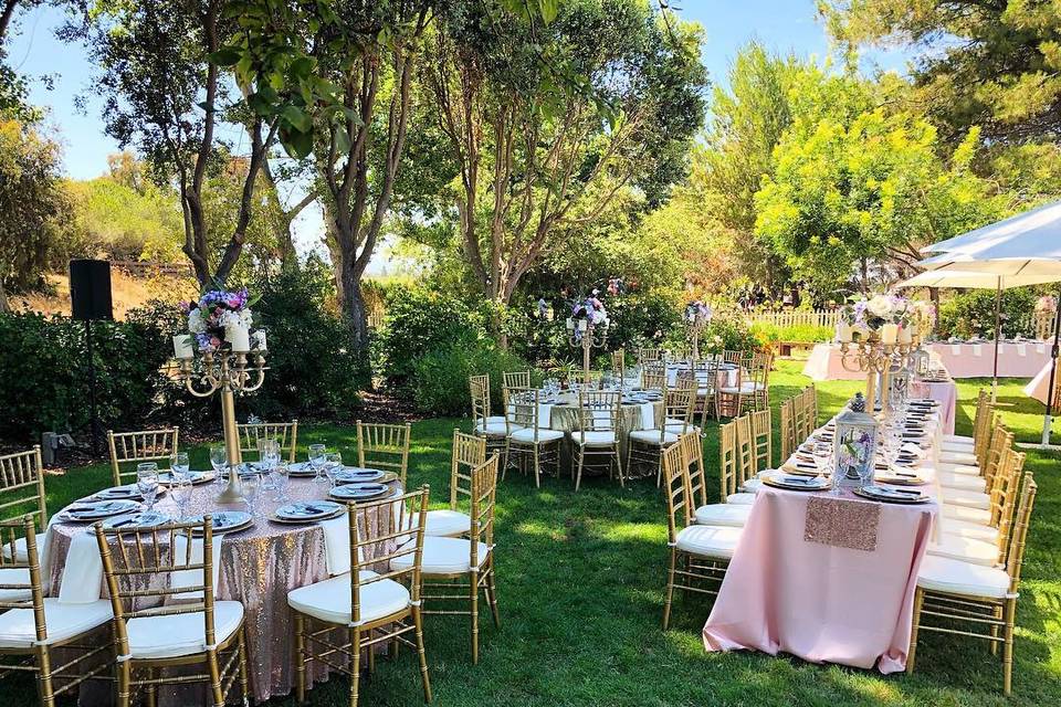 Outdoor Reception