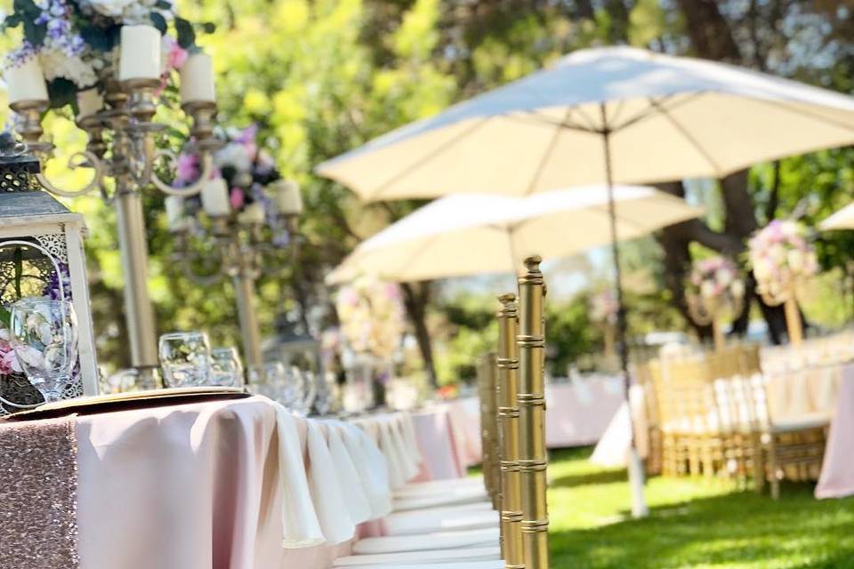 Outdoor Reception