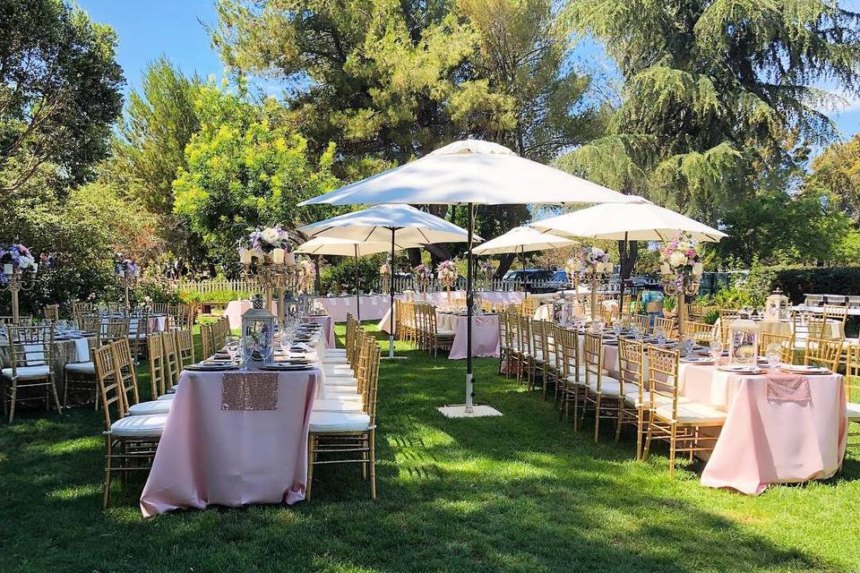 Outdoor Reception