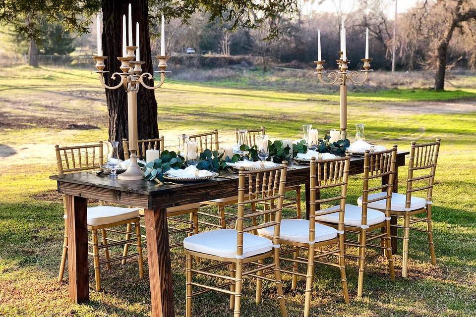 Gold Chiavari & Farm Tables