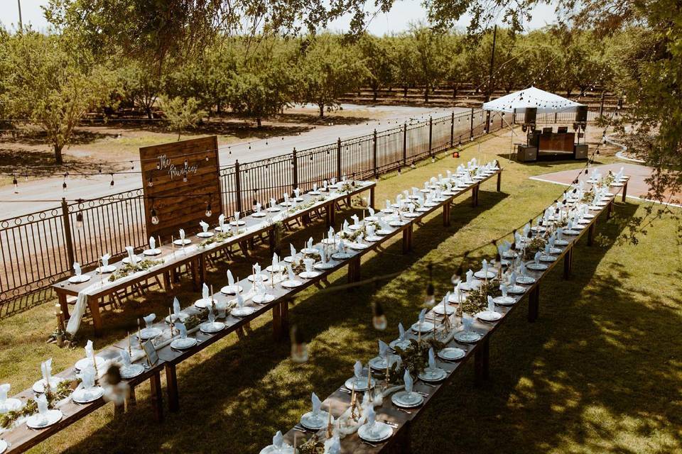 Long Farm Tables Backyard