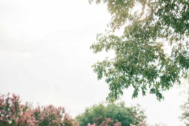 Houston wedding photographer