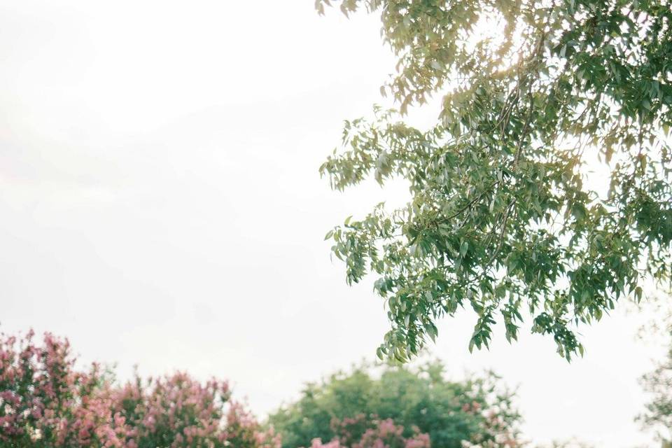 Houston wedding photographer