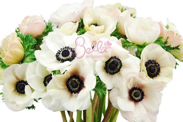 Bella Wedding Flowers