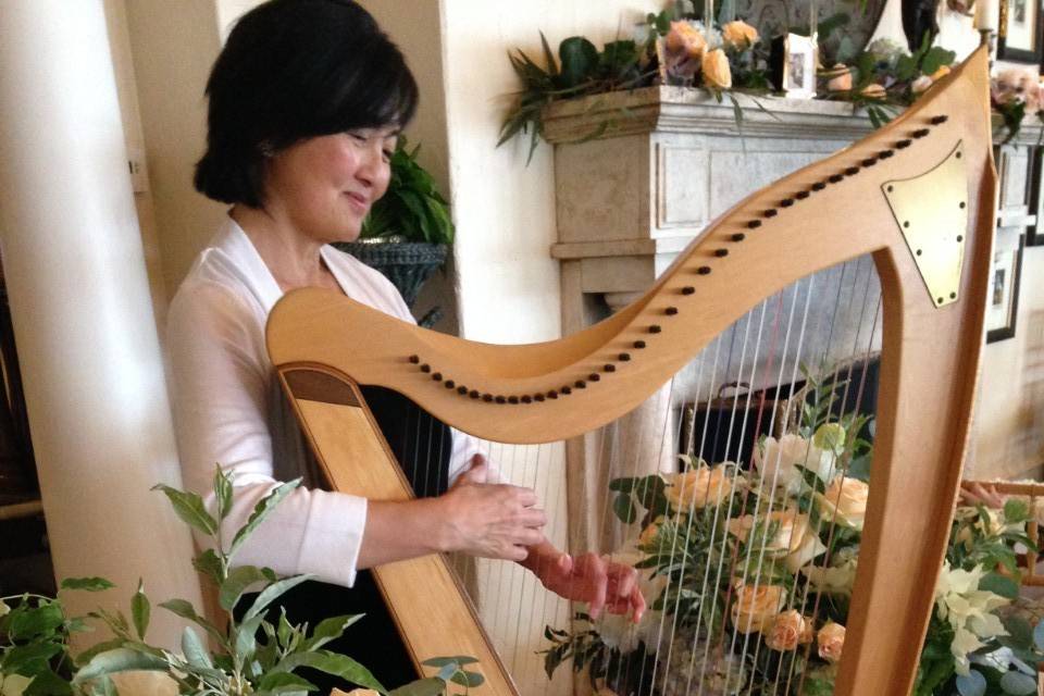 Harpist Judy Saiki