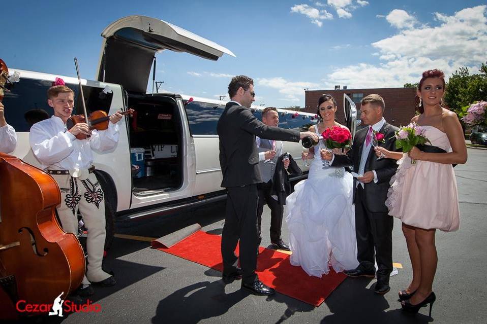 The bride holding her bouquet