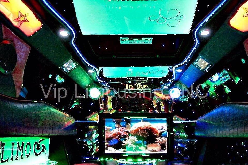 Hottest and Largest Chicago Party Bus.  UNSURPASSED Elegance and Luxury!  Fits 36 Passengers.  www.viplimousineinc.com