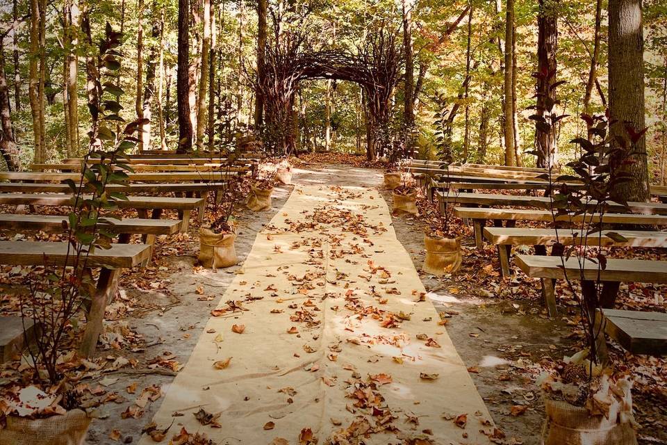 Magical ceremony in the woods