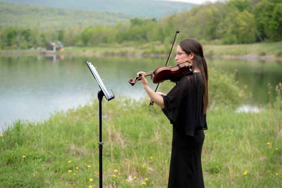 Violinist