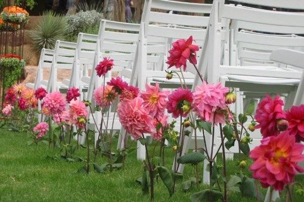 A garden of dahlias lines the aisle