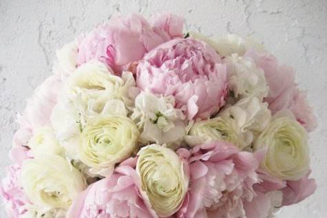 Pink Peonies!