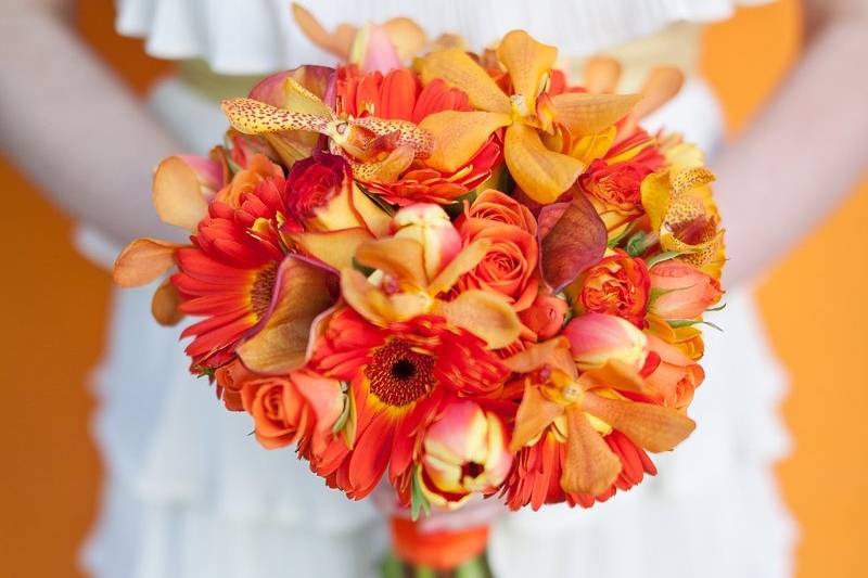 Tangerine Tango is the Color of 2012! This bridal bouquet is made with all orange blooms, including mokara orchids, gerbera daisies, tulips and roses.