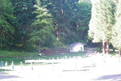 Creekside area, grotto-like ceremony site with creek flowing by!