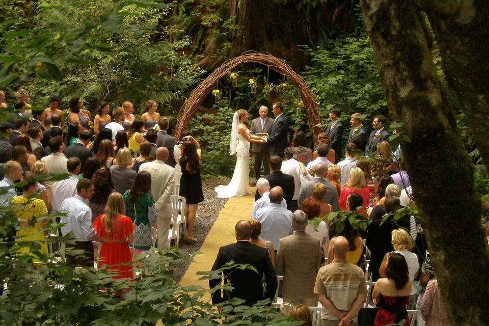 Lakeside waterfall ceremony area