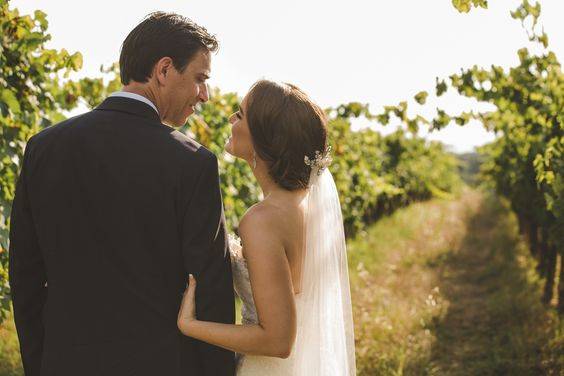 Vineyard Photos