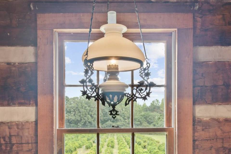 View of Vineyards Interior