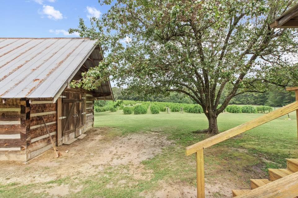 Cora Cabin