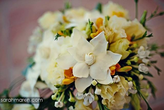 Tulips & Tangerines