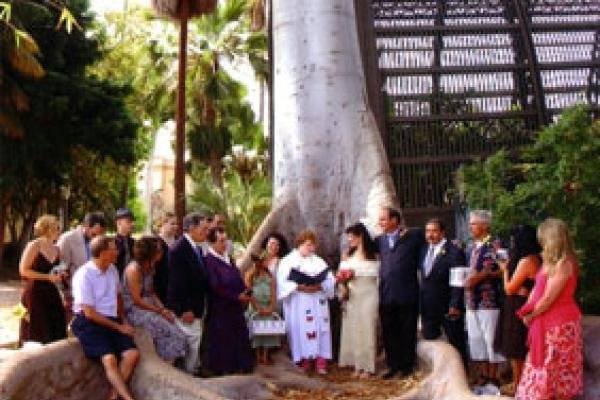 Butterfly release in historic Balboa Park after a private ceremony at the San Diego hummingbird aviary.