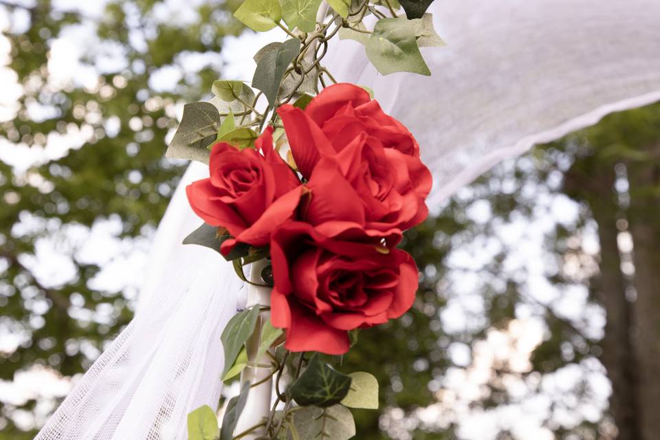 Roses