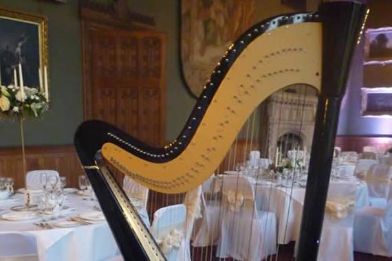 Harp at bridal shower