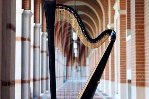 Harp in atrium