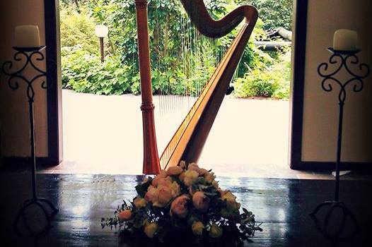 Harp in front of door