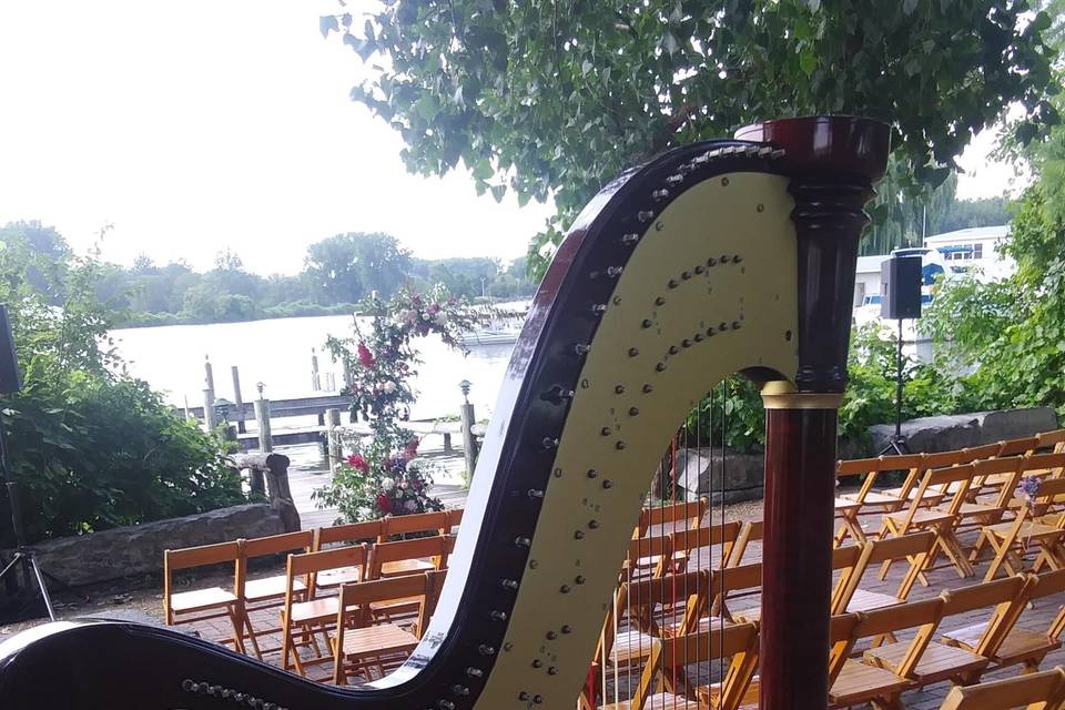 Harp at Ithaca Farmer's Market