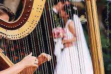 Couple behind harp