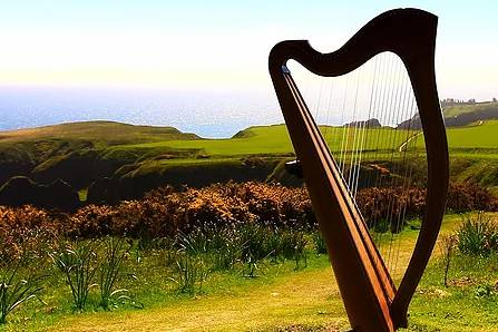 Celtic harp in field