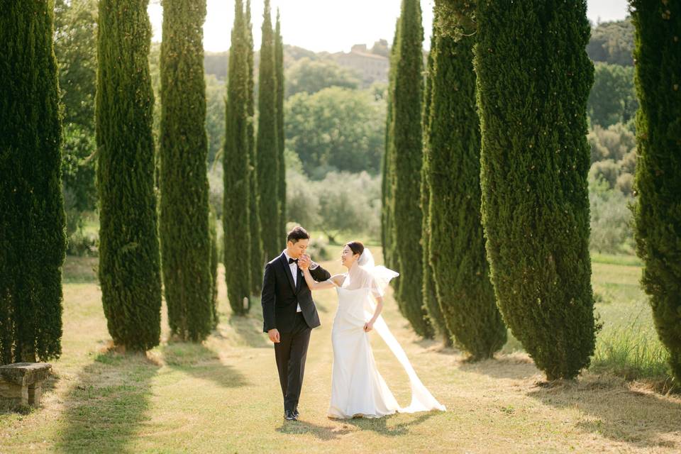 Couple pictures, cypress path