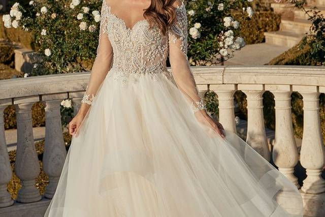 Wedding Dresses WV