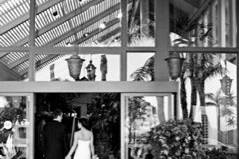A Cultured Event