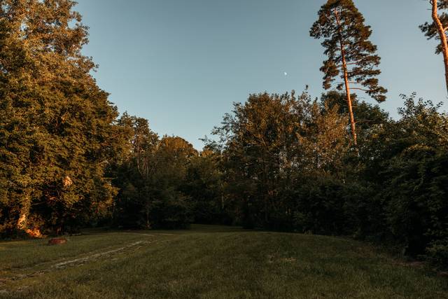 Woods