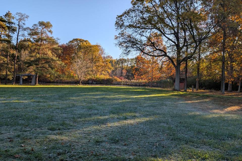 Lawn