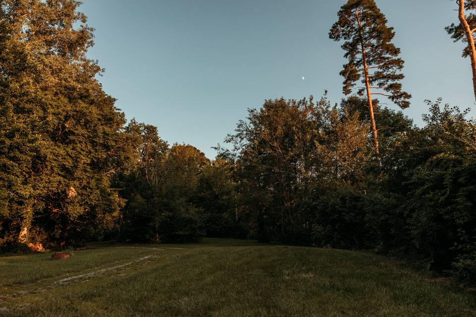 Woods