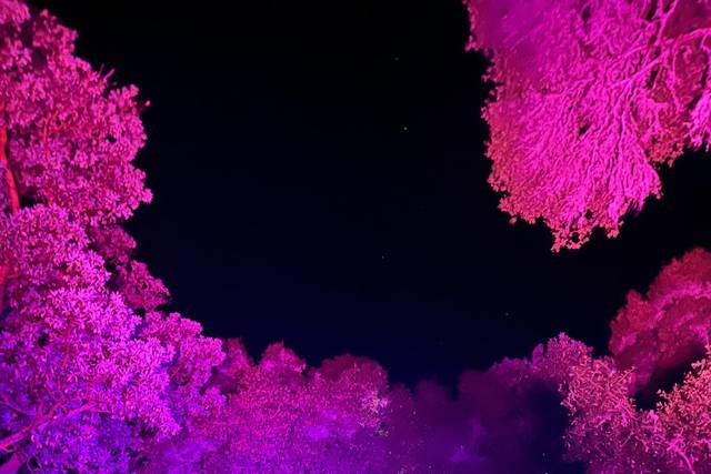Uplighting