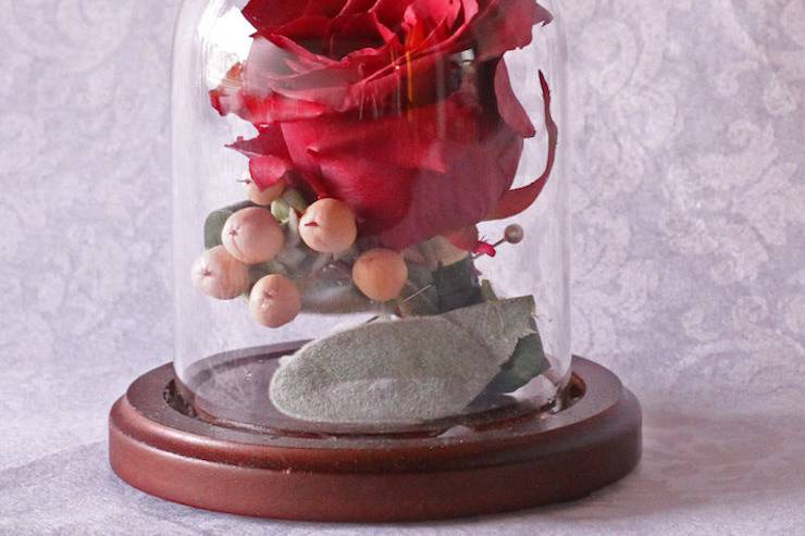 Freeze dried rose