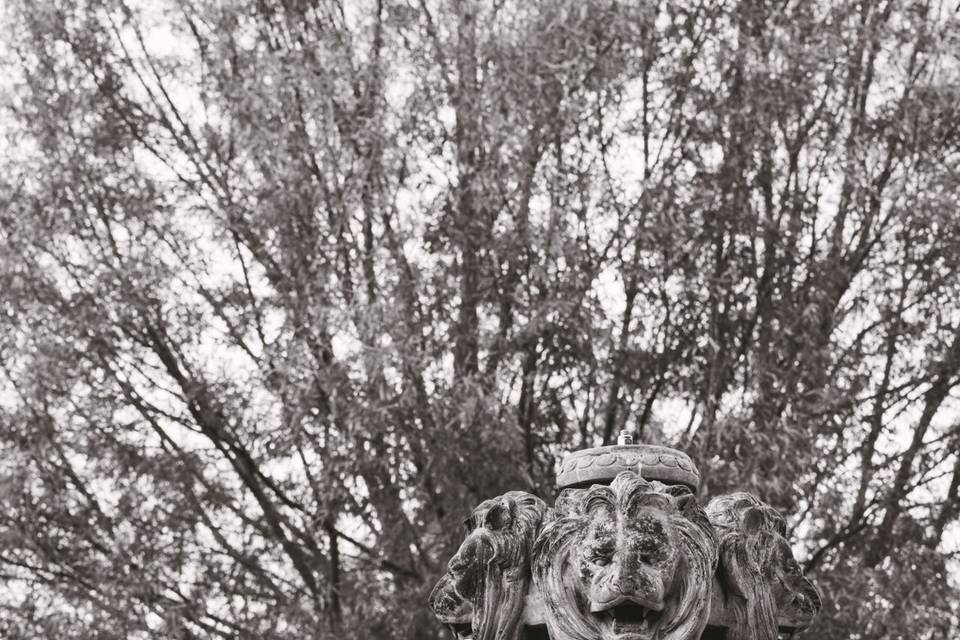 Pond