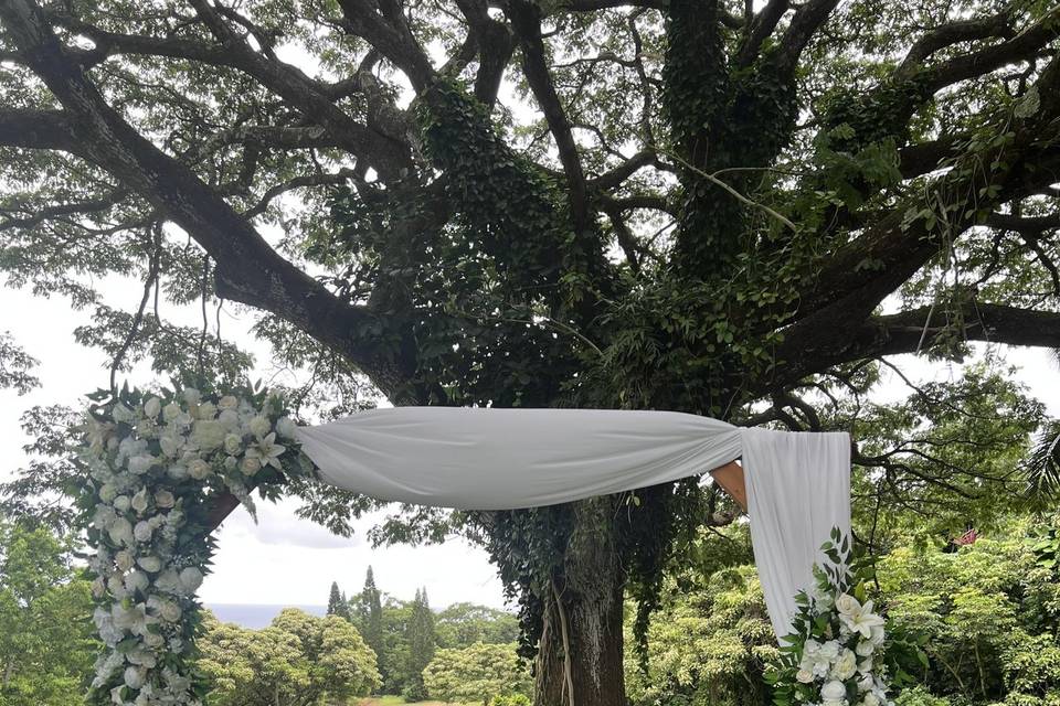 Up country wedding